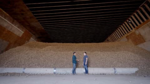 Two men stand in a storage bay in front of a pile of potatoes that is taller than them.