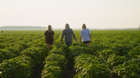 Leah and two members of her family walk through a potato field.