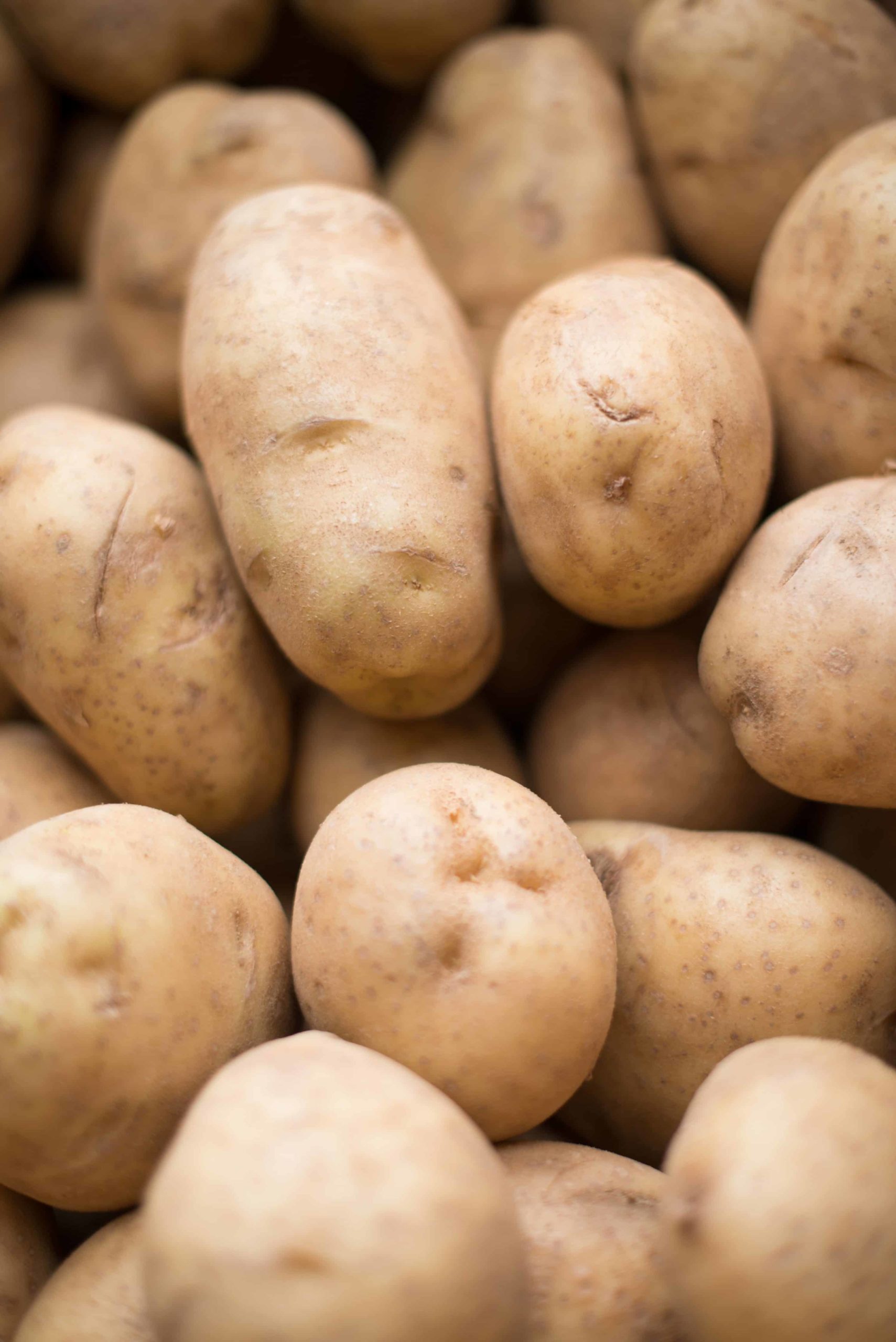 White Potato Types & Tips, White Potatoes