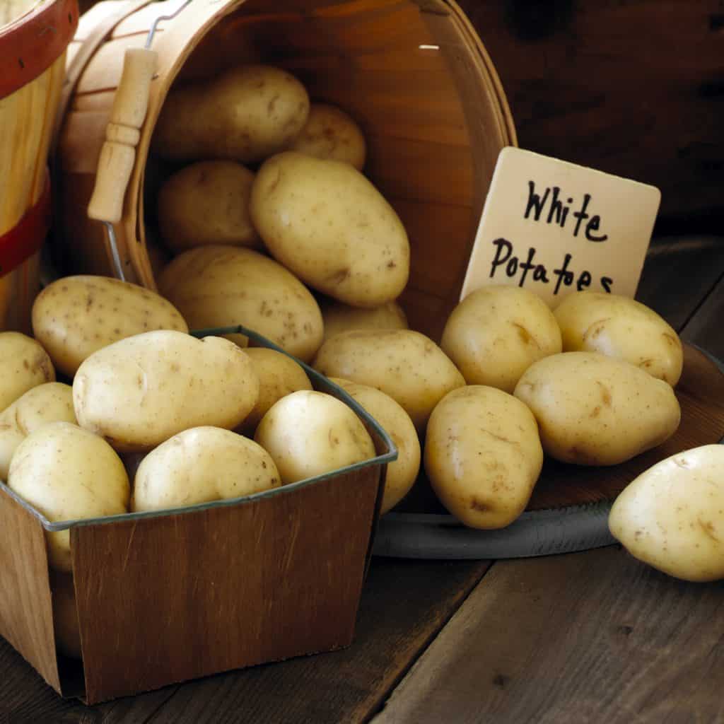 Foods to Fuel Cycling: White vs Sweet Potato? - Tota